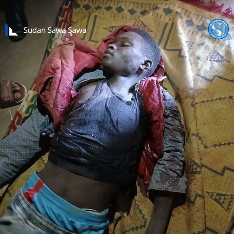 News and Updates: Staying Informed on Sudan’s Developments